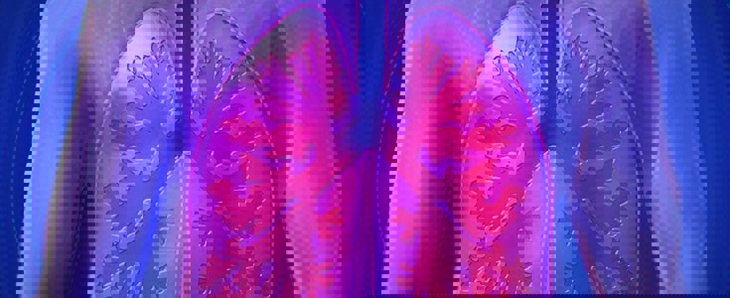 Upper Body 944557 640